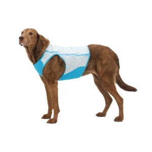 Cooling Dog Vest