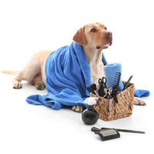 Advanced Grooming Scissors Set