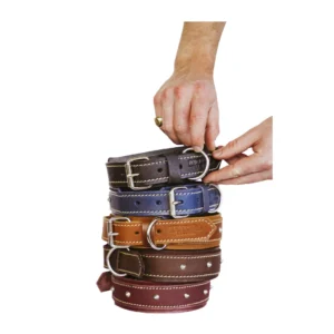 Stylish Leather Dog Collar