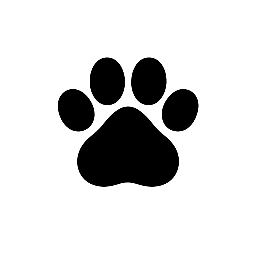 Broul: Healthy Pets, Happy Tails